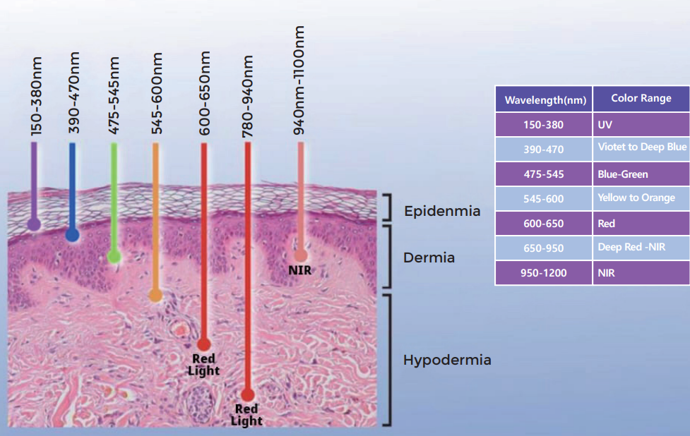 Схема работы терапии красным светом